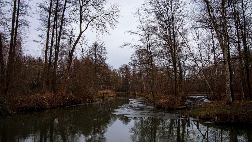 Die Natur genießen?!? - Spreewald (12.2025)