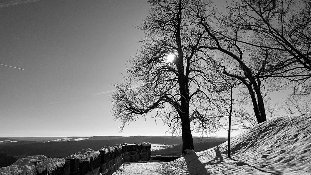 Die Festung und der Schnee - Festung Königstein (20.02.2026)