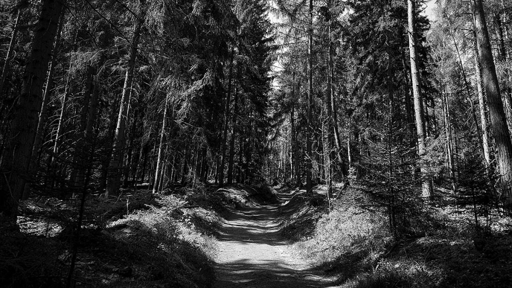 Der Weg - Katzstein (28.04.2026)