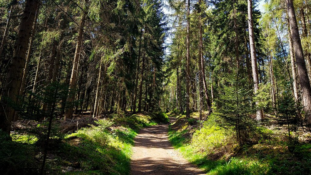 Der Weg - Katzstein (28.04.2026)