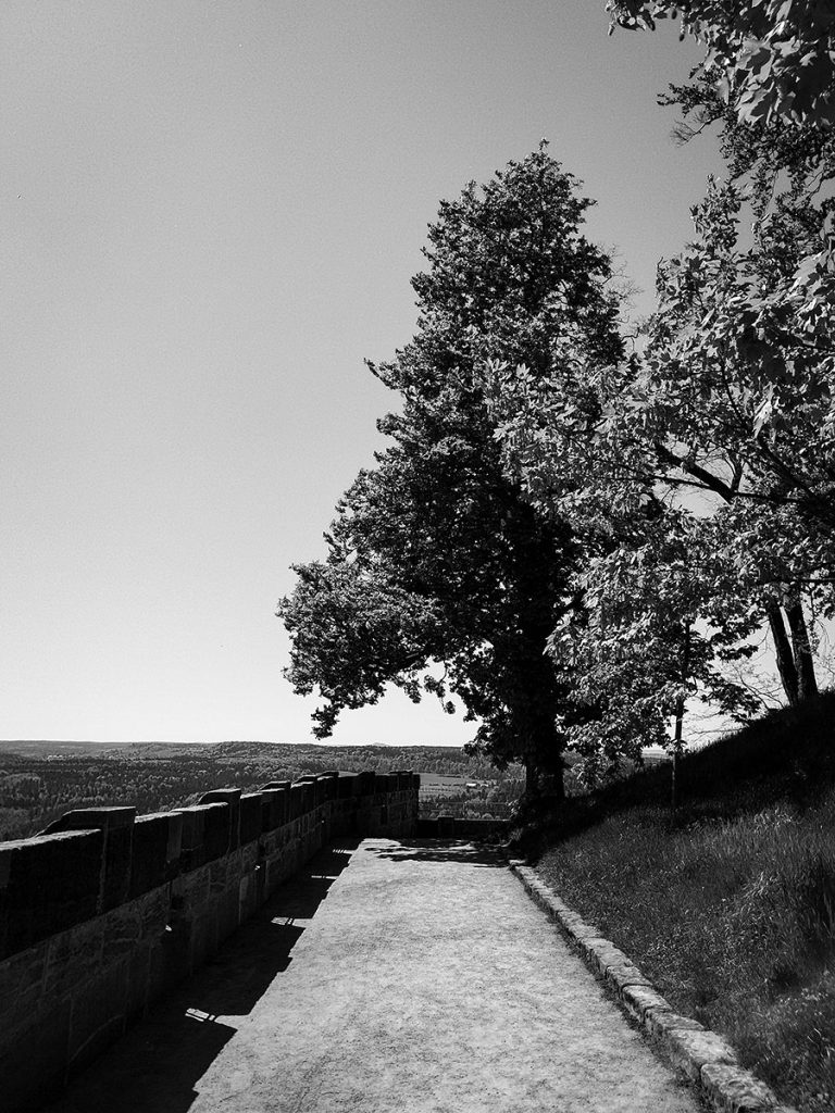 Festung Königstein (02.05.2026)