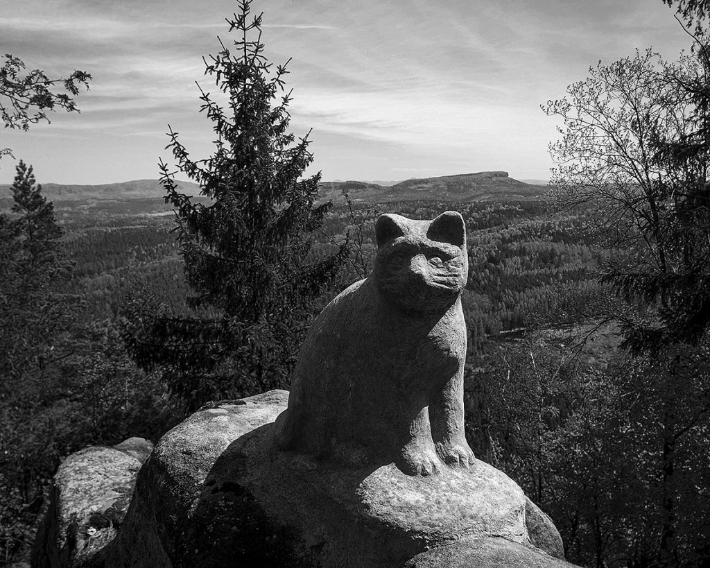 Die Katze - Katzstein (28.04.2026)