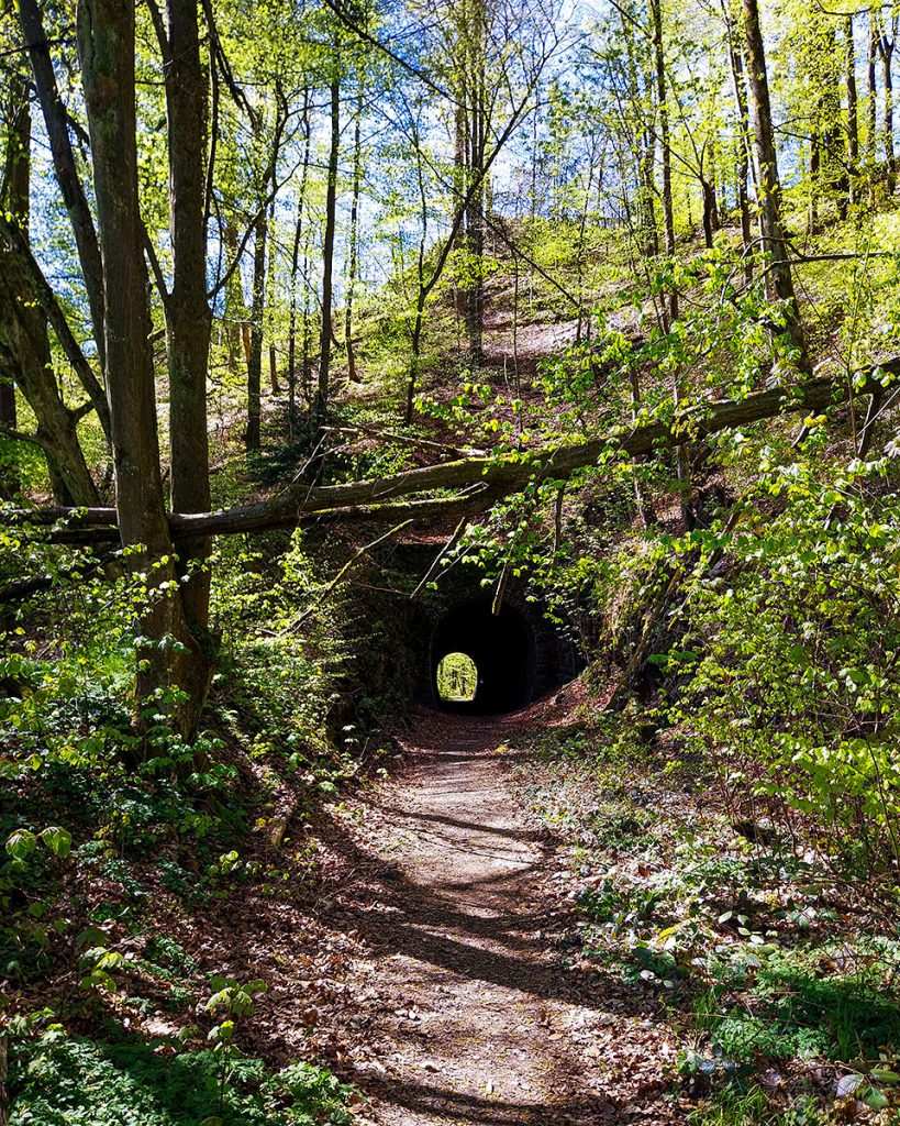 Der Weg durch den Tunnel - Schwarzbachtal (29.04.2026)