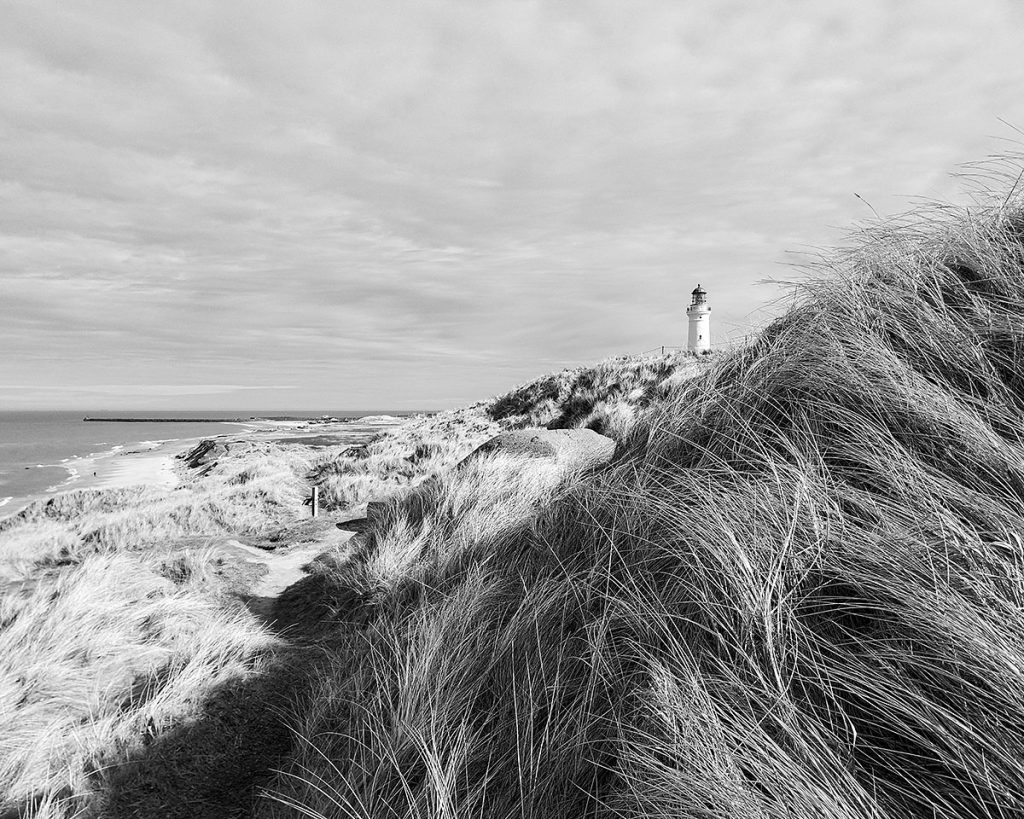 Der Dünen von Hirtshals - Løkken (03.2026)
