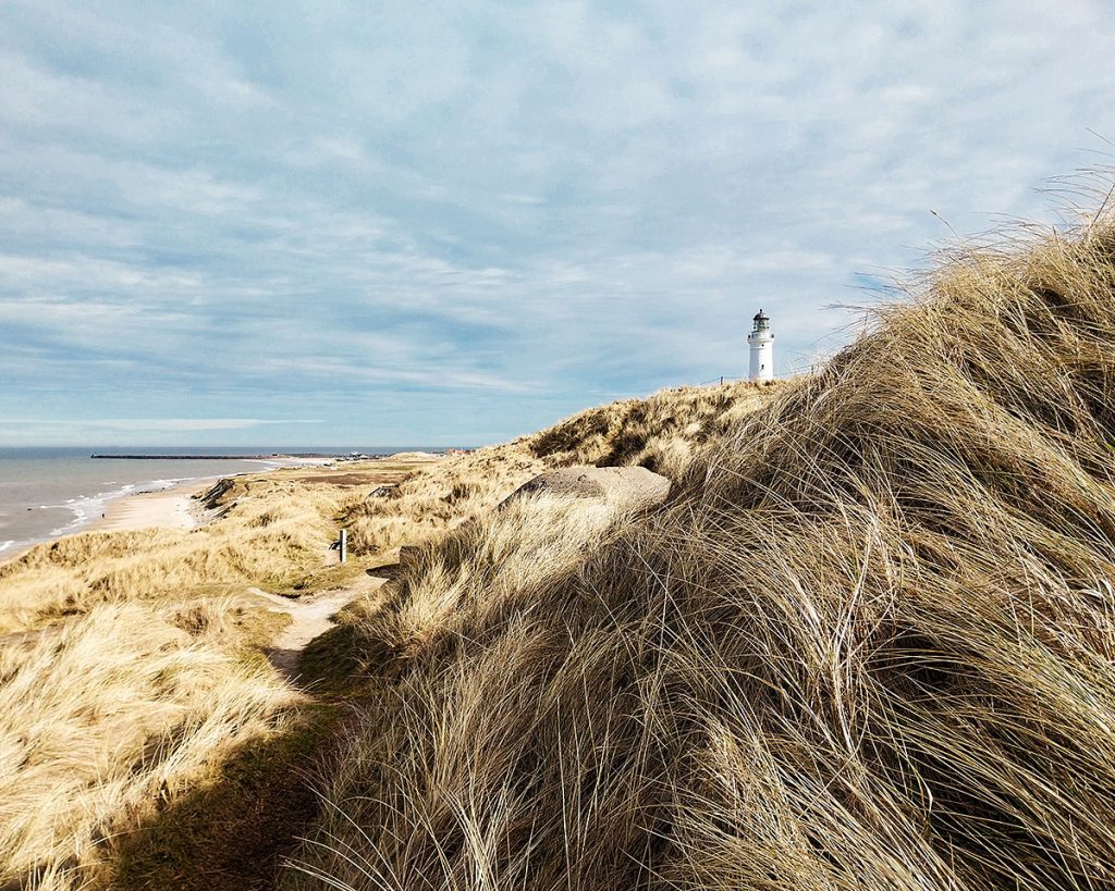 Der Dünen von Hirtshals - Løkken (03.2026)