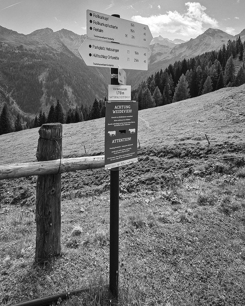 Wegweiser Vorderkaseralm - Großarl (09.2026)