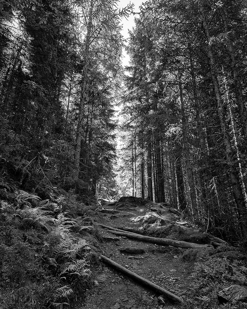 Der Wanderweg - Großarl (09.2026)