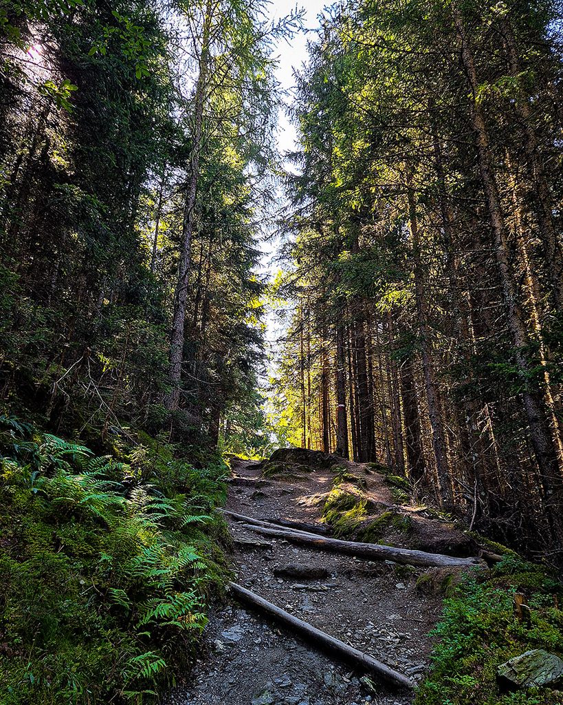 Der Wanderweg - Großarl (09.2026)