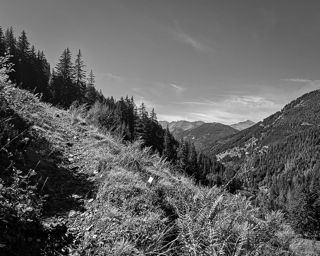 Dem Wanderweg entlang - Großarl (09.2026)