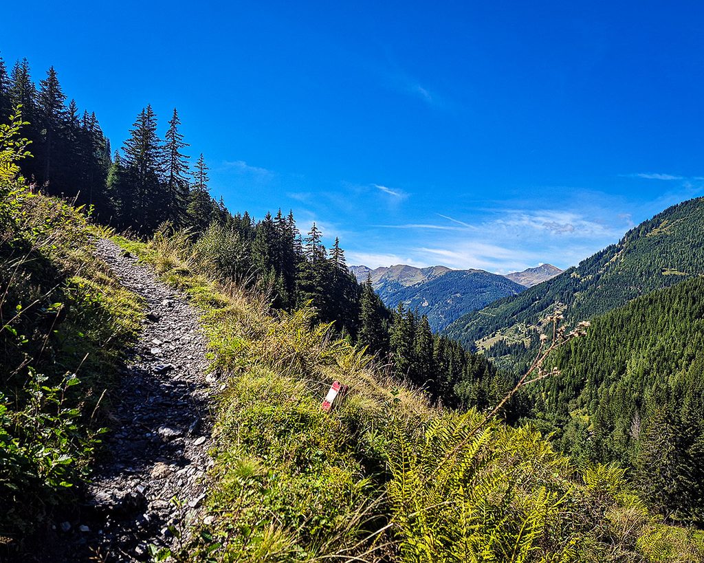 Dem Wanderweg entlang - Großarl (09.2026)