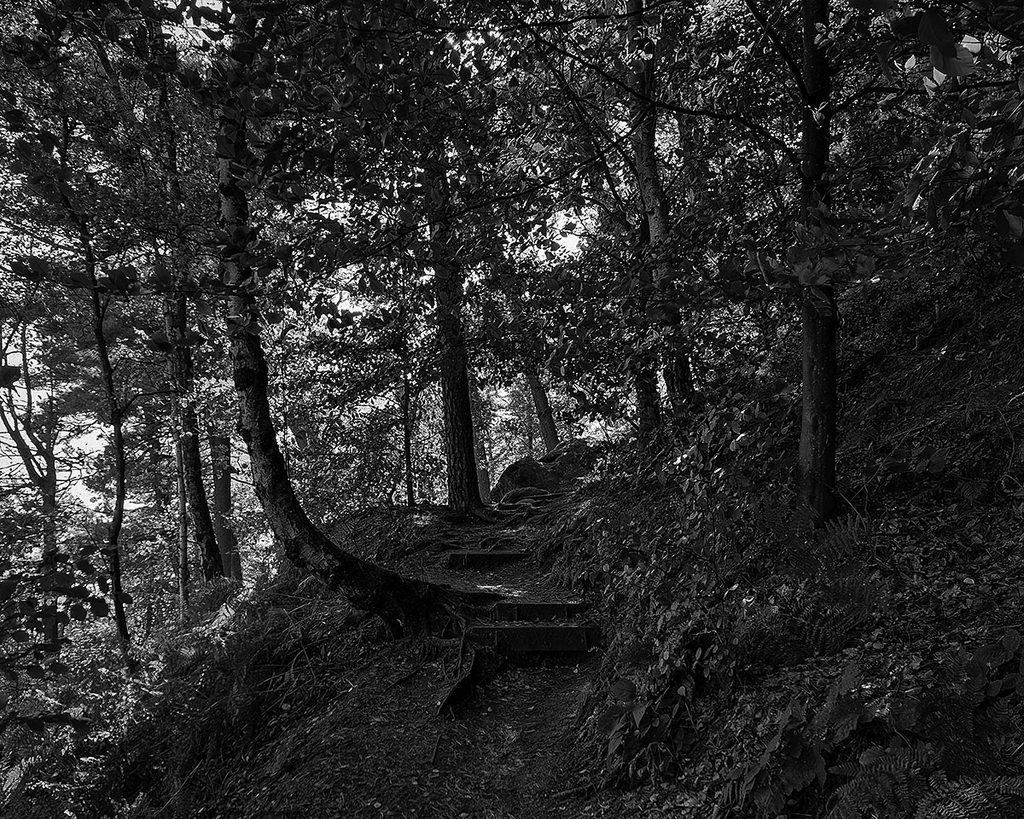 Der Wanderweg - Sächsische Schweiz (10.2026)