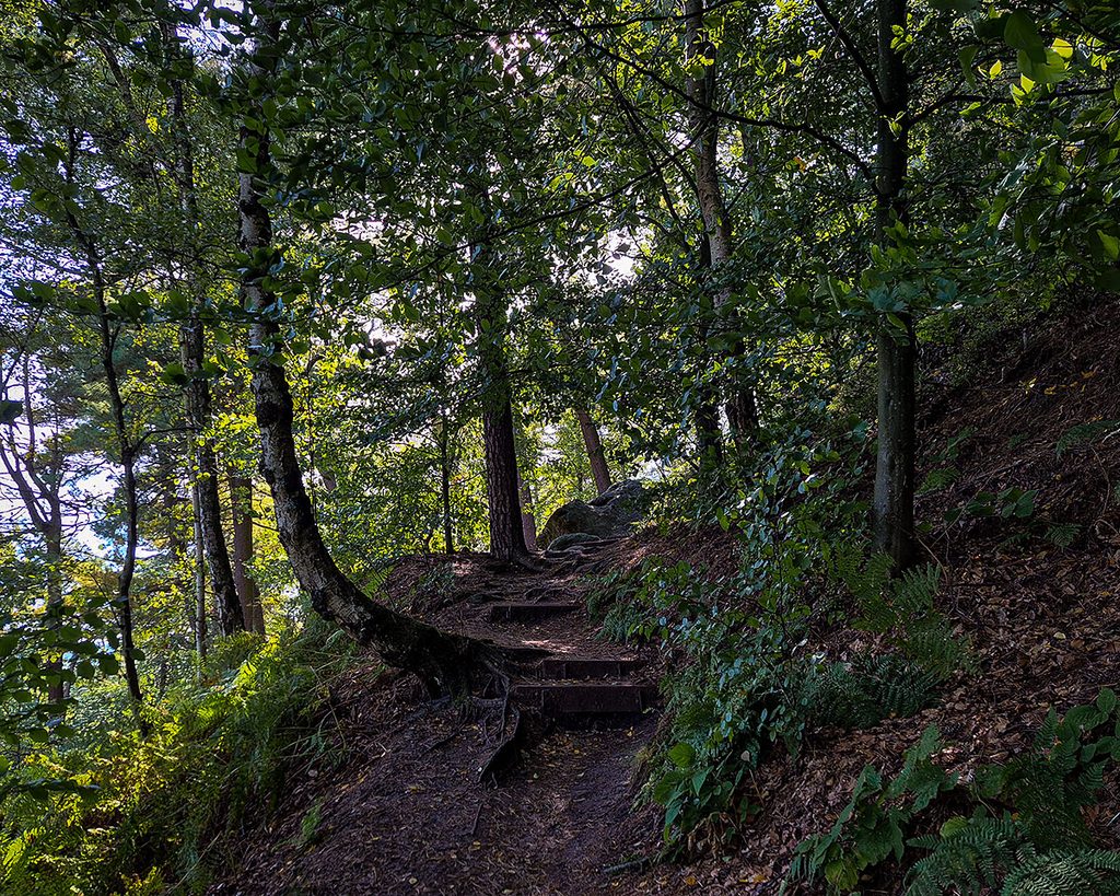 Der Wanderweg - Sächsische Schweiz (10.2026)