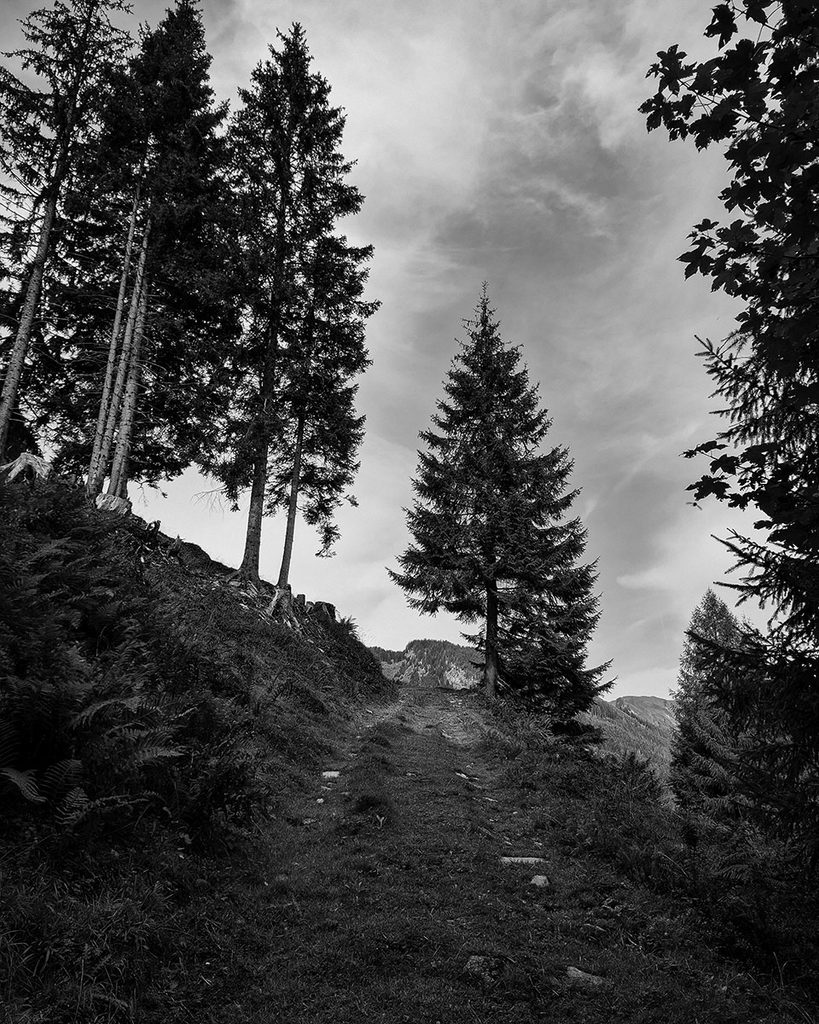 Der Wanderweg - Großarl (09.2026)