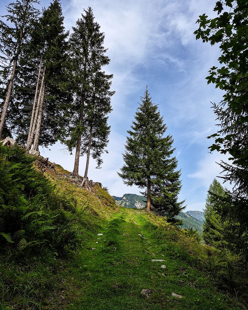 Der Wanderweg - Großarl (09.2026)